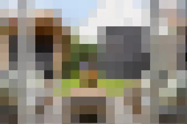 Jordenshoeve 2 Helmond thumbnail 38