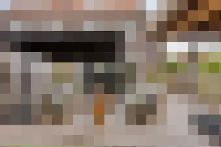 Jordenshoeve 2 Helmond thumbnail 43
