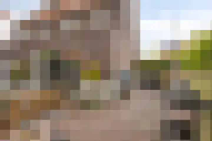 Jordenshoeve 2 Helmond thumbnail 45