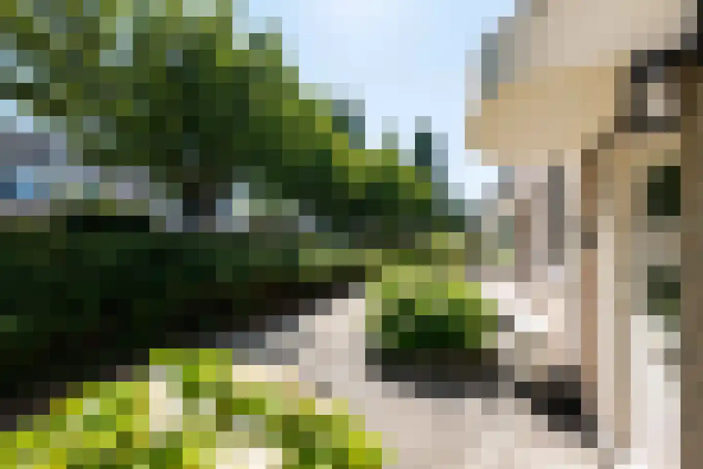 Jordenspad 4 Hellevoetsluis thumbnail 9