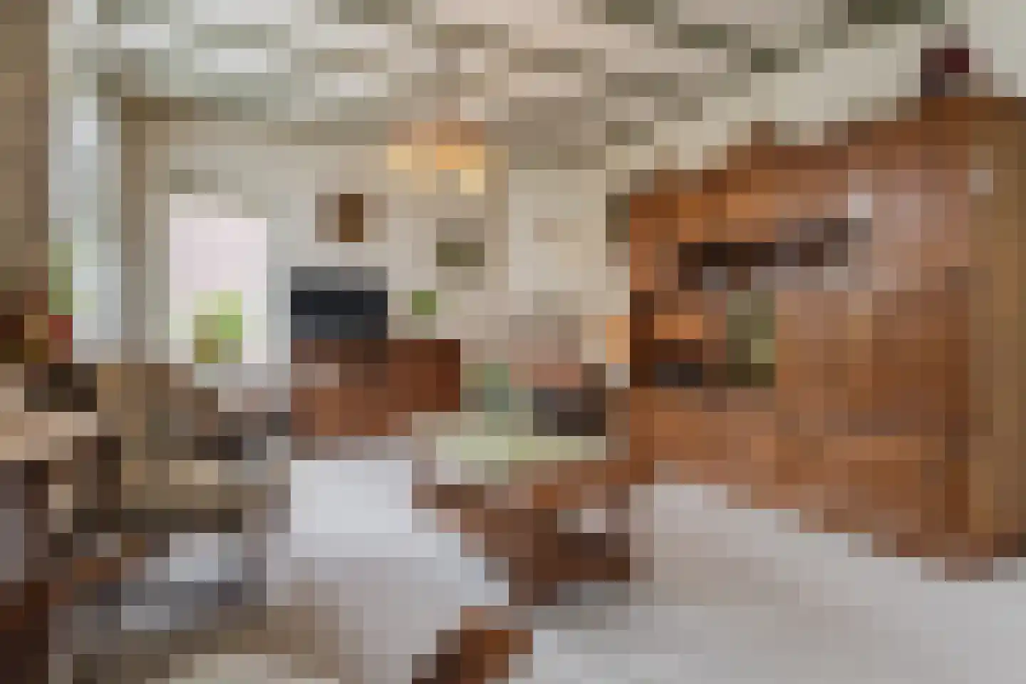 Jordenstraat 5 Eck en Wiel thumbnail 10