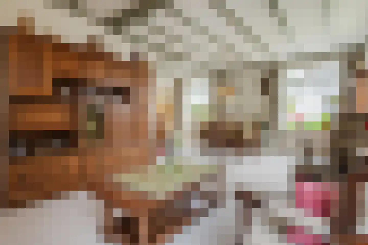 Jordenstraat 5 Eck en Wiel thumbnail 11