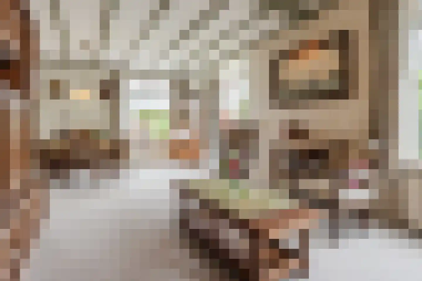 Jordenstraat 5 Eck en Wiel thumbnail 12
