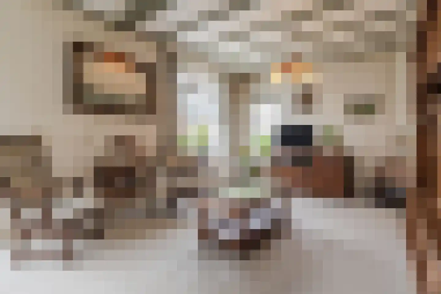 Jordenstraat 5 Eck en Wiel thumbnail 13
