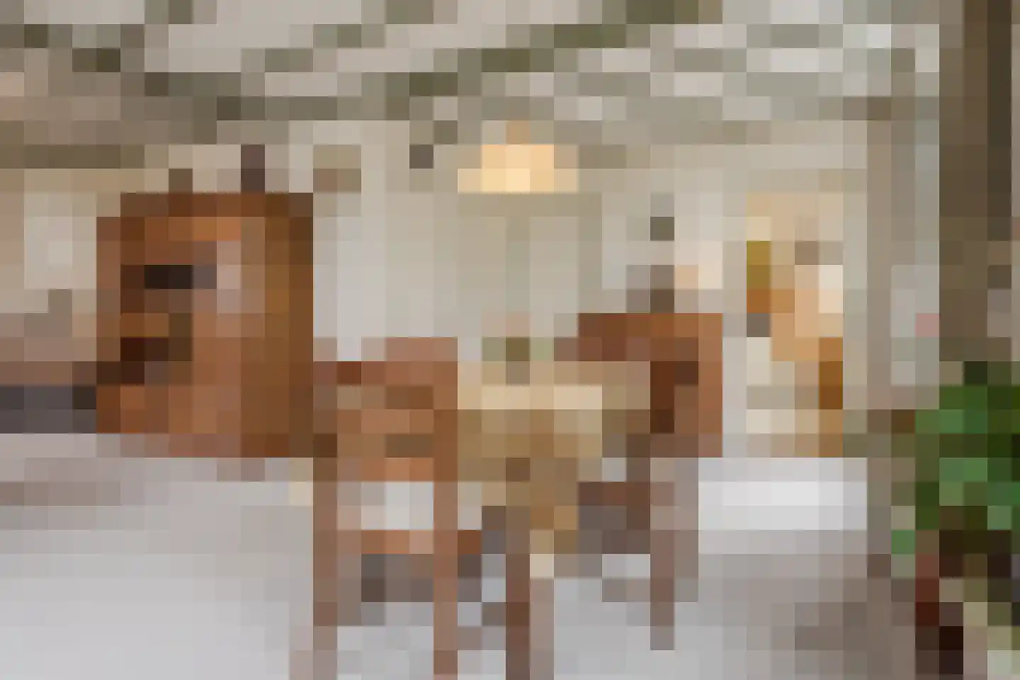 Jordenstraat 5 Eck en Wiel thumbnail 16
