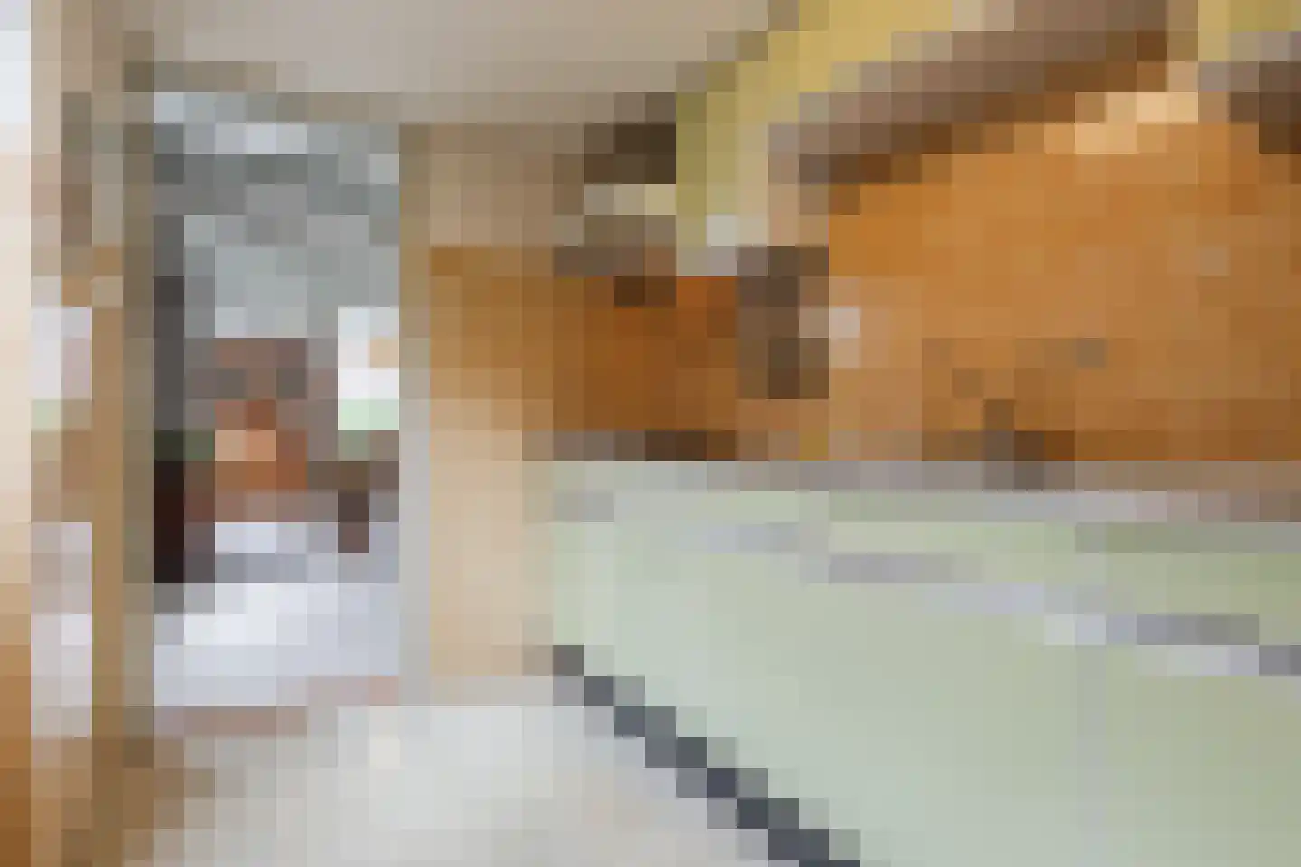 Jordenstraat 5 Eck en Wiel thumbnail 19