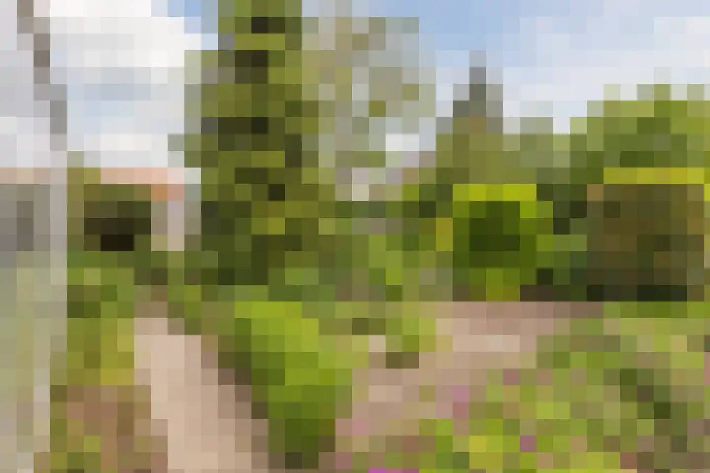 Jordenstraat 5 Eck en Wiel thumbnail 48