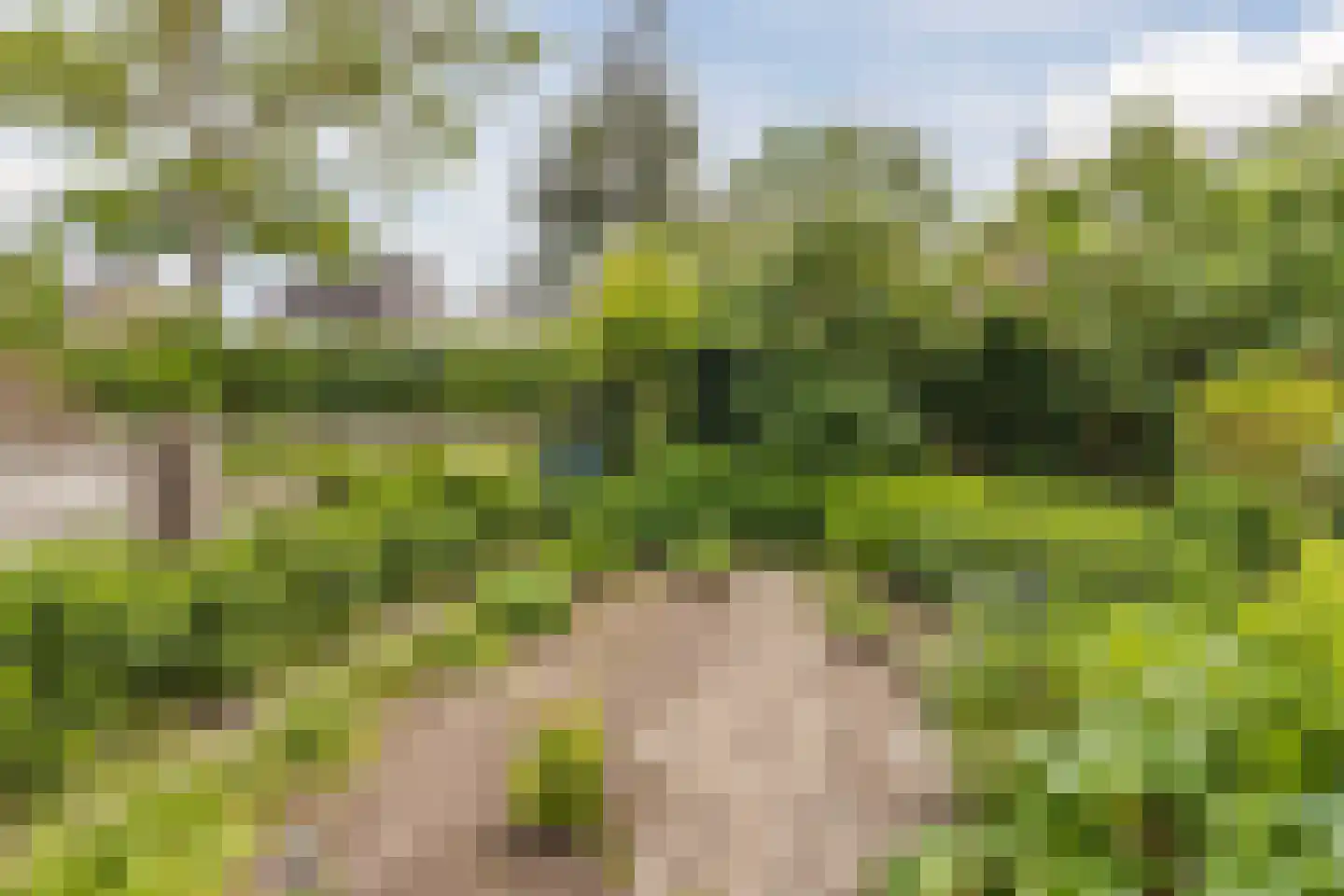 Jordenstraat 5 Eck en Wiel thumbnail 49