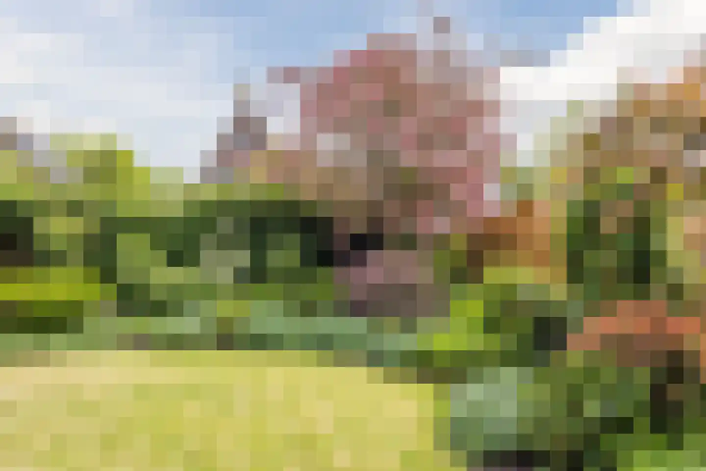 Jordenstraat 5 Eck en Wiel thumbnail 50