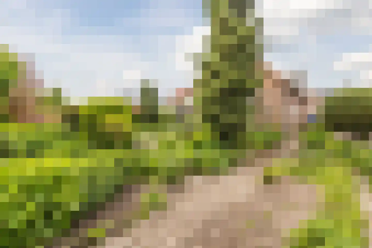 Jordenstraat 5 Eck en Wiel thumbnail 53