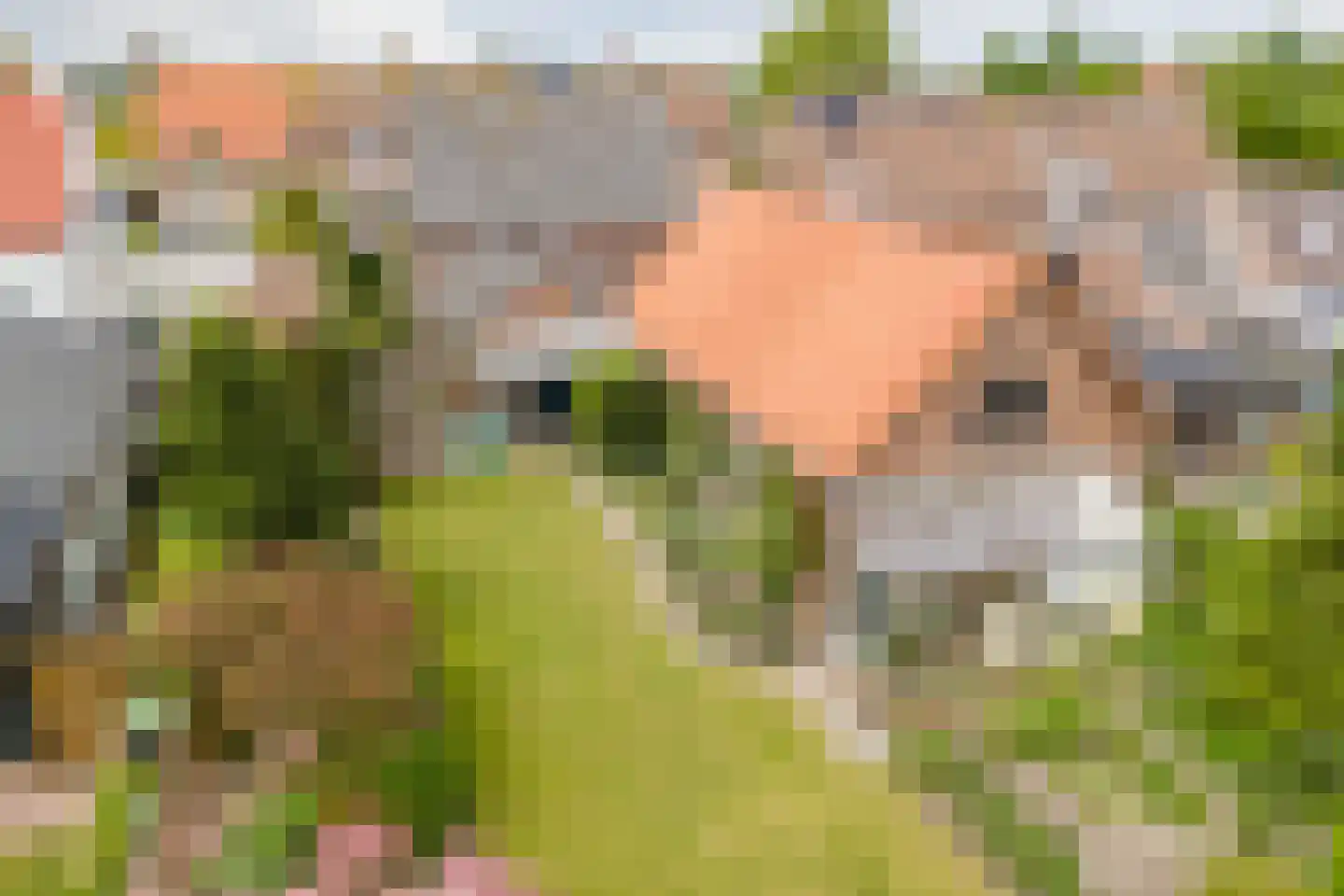 Jordenstraat 5 Eck en Wiel thumbnail 54