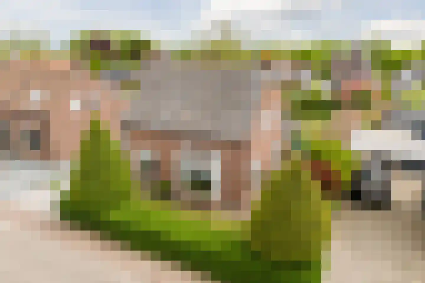 Jordenstraat 5 Eck en Wiel thumbnail 55