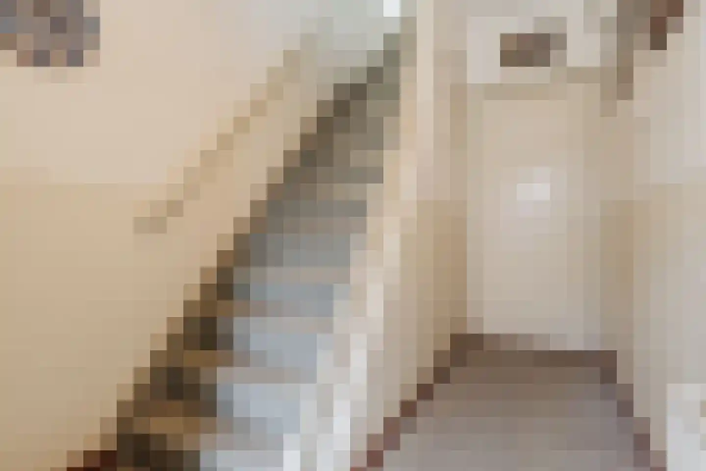 Jordenstraat 5 Eck en Wiel thumbnail 6