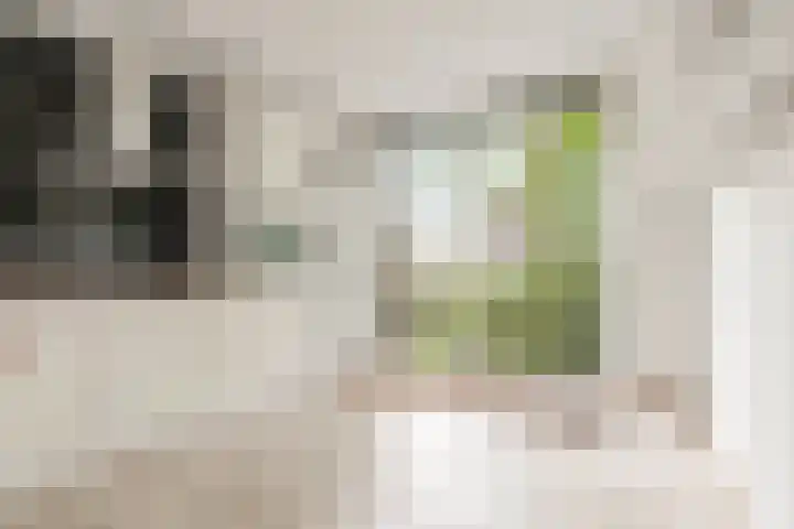 Joris Ivenslaan 1 Almere thumbnail 15