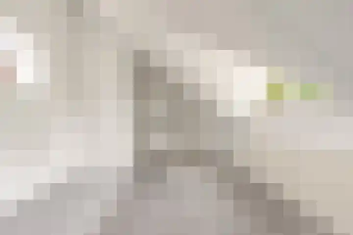 Joris Ivenslaan 1 Almere thumbnail 31