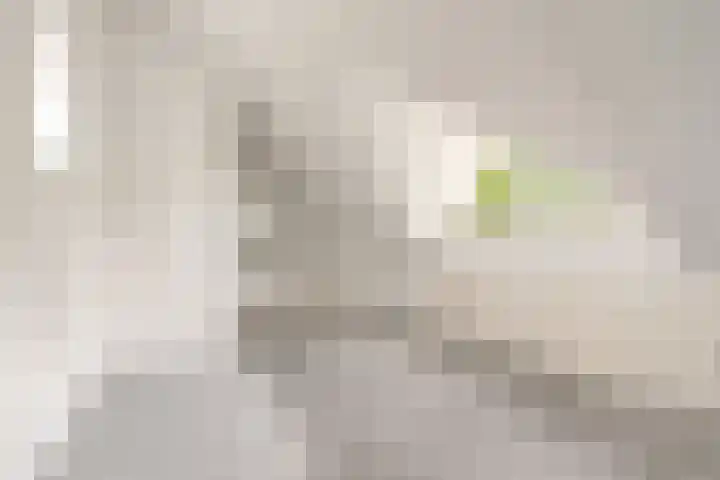 Joris Ivenslaan 1 Almere thumbnail 33
