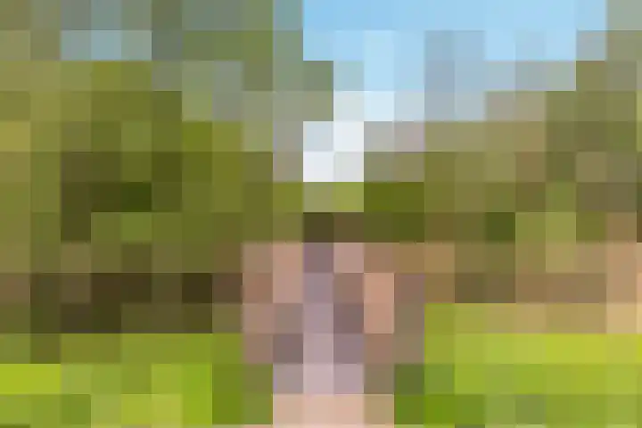 Joris Ivenslaan 1 Almere thumbnail 48