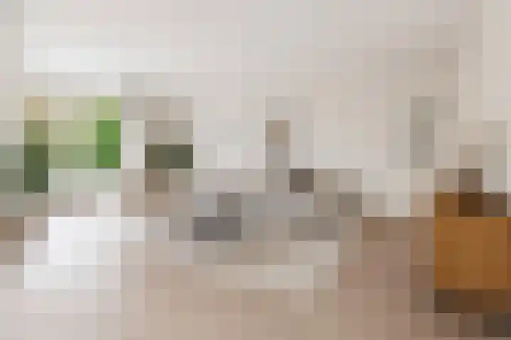 Joris Ivenslaan 1 Almere thumbnail 9