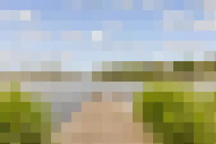 Joris Ivenslaan 135 Almere thumbnail 48
