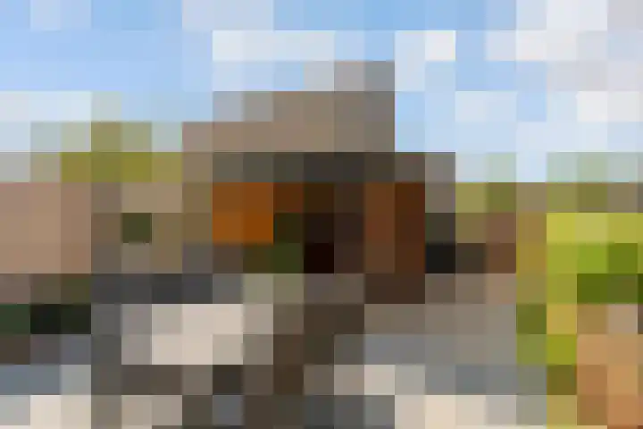 Joris Ivenslaan 24 Almere thumbnail 44