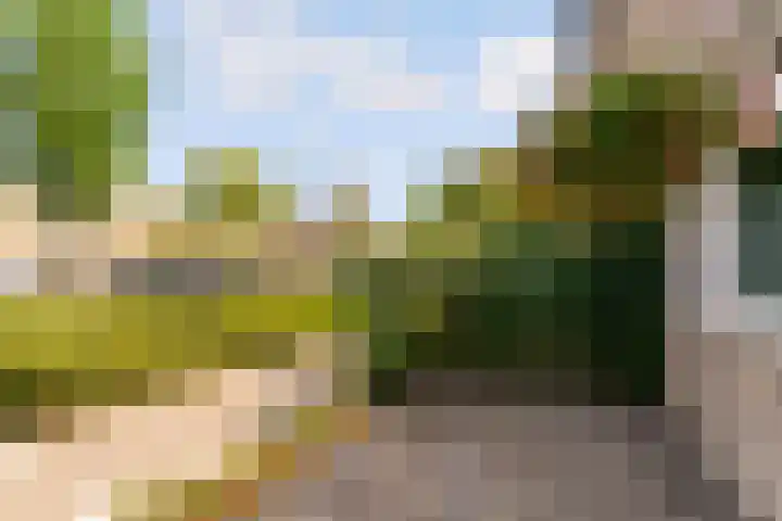 Joris Ivenslaan 24 Almere thumbnail 7
