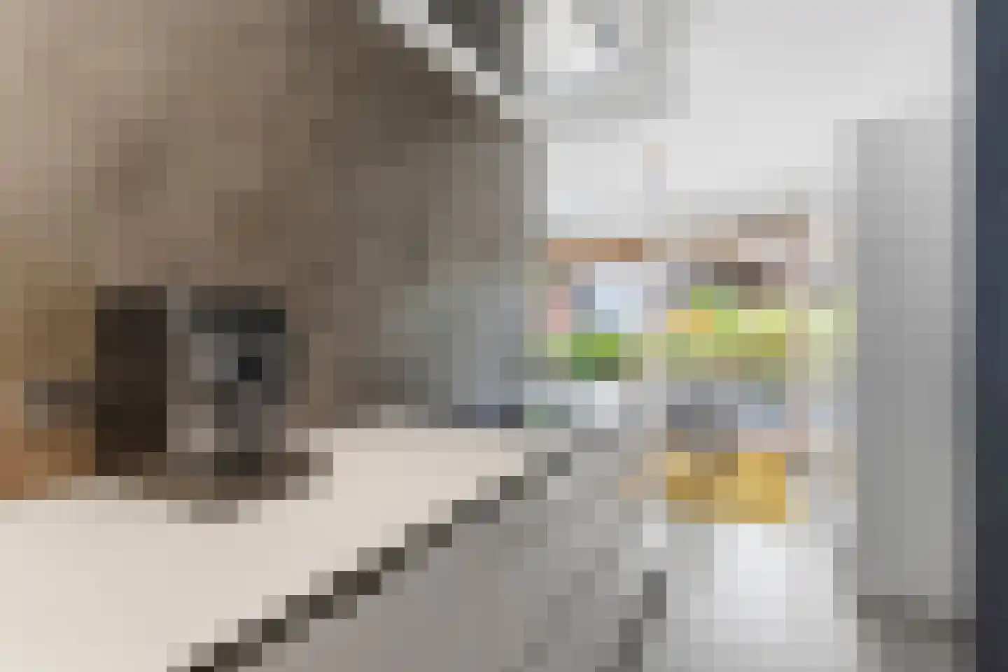 Joris Ivensstraat 7 Amsterdam thumbnail 12