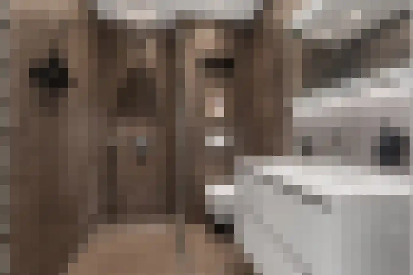 Joris Ivensstraat 7 Amsterdam thumbnail 31