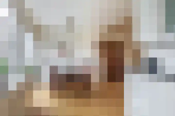 Joris Ivensstrook 27 Zoetermeer thumbnail 14