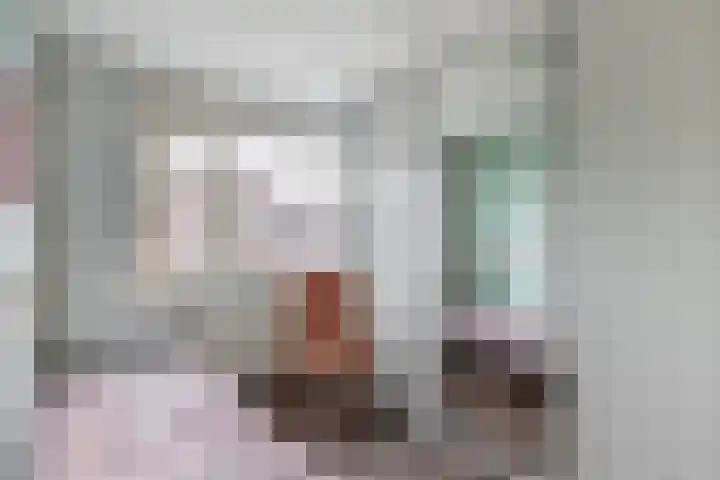 Joris Ivensstrook 27 Zoetermeer thumbnail 26
