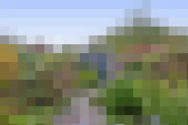 Joris Ivensstrook 27 Zoetermeer thumbnail 28