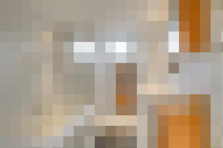 Joris Ivensstrook 6 Zoetermeer thumbnail 16