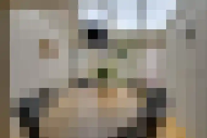 Joris Ivensstrook 6 Zoetermeer thumbnail 8
