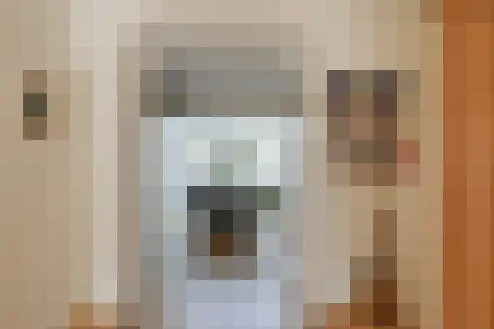 Joris Ivensstrook 6 Zoetermeer thumbnail 9