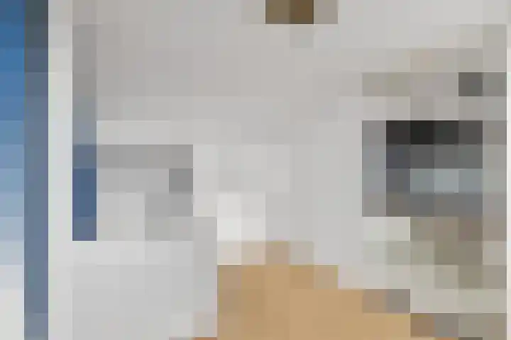 Joris Nempestraat 32 Breda thumbnail 31