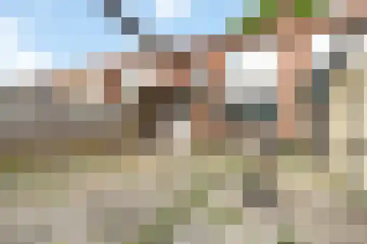 Joris Nempestraat 32 Breda thumbnail 39