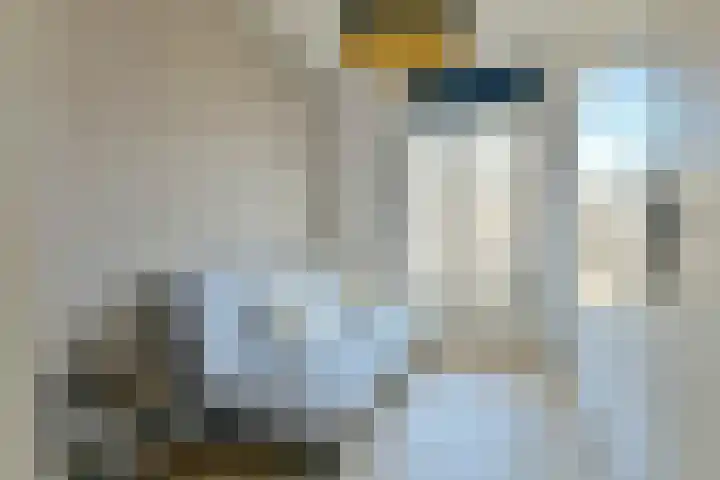 Joris van Andringastraat 24 2 Amsterdam thumbnail 13