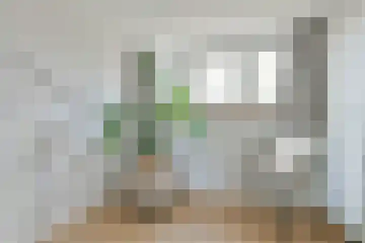Joris van Andringastraat 24 2 Amsterdam thumbnail 19