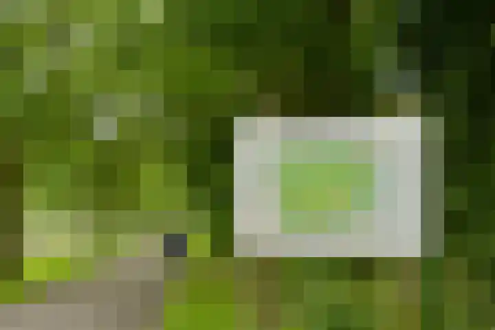 Joris van Andringastraat 24 2 Amsterdam thumbnail 29
