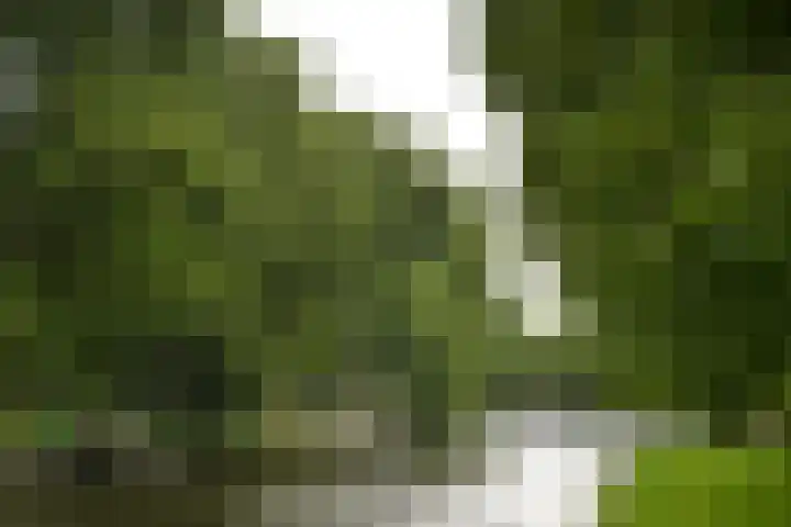 Joris van Andringastraat 24 2 Amsterdam thumbnail 30