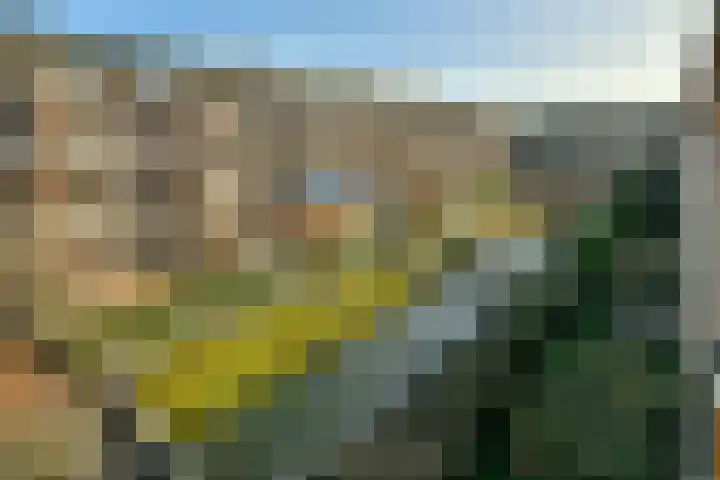 Joris van Andringastraat 24 2 Amsterdam thumbnail 8