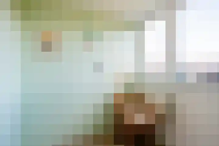 Joris van Andringastraat 25 1 Amsterdam thumbnail 31