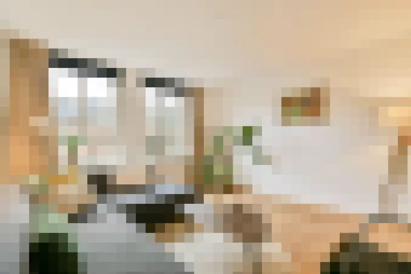 Joris van Andringastraat 3 H Amsterdam thumbnail 6