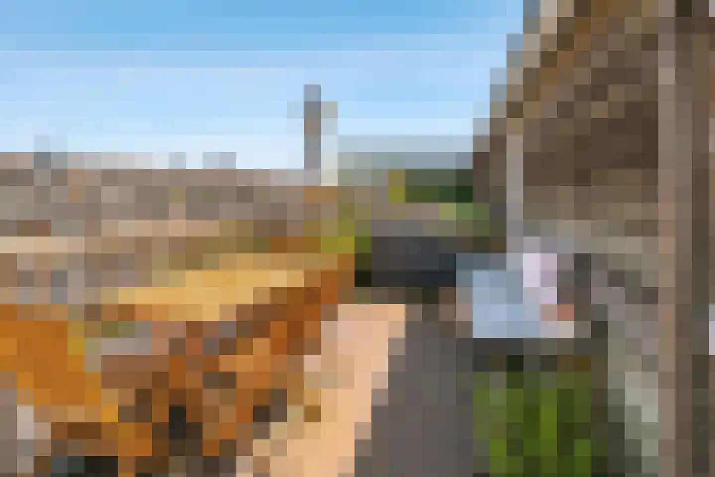 Joris van Andringastraat 32 H Amsterdam thumbnail 33