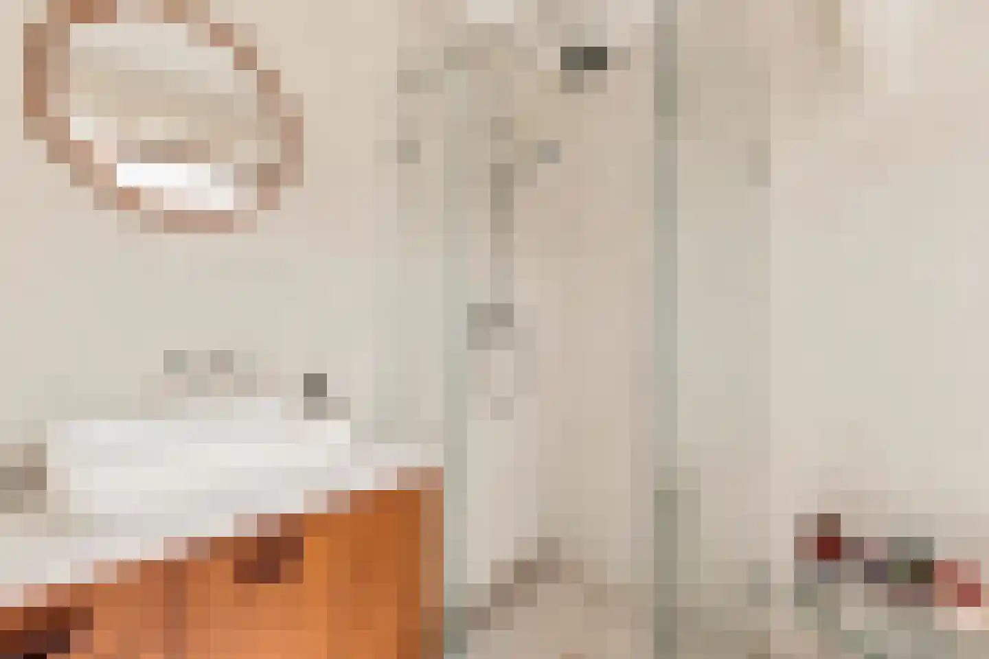 Joris van Andringastraat 32 H Amsterdam thumbnail 39