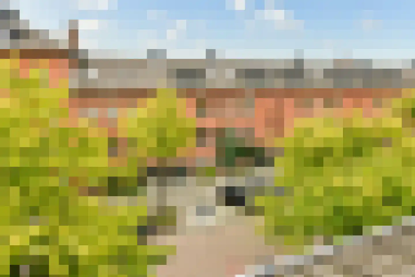 Joris van Andringastraat 33 2 Amsterdam thumbnail 27