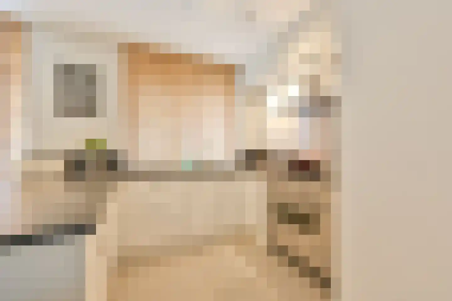 Joris van Bodegomlaan 18 Spijkenisse thumbnail 15