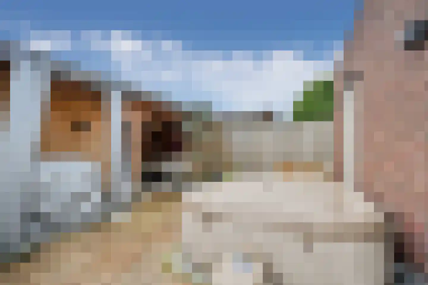 Joris van Bodegomlaan 18 Spijkenisse thumbnail 17