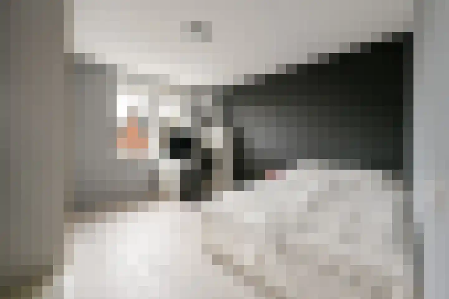Joris van Bodegomlaan 18 Spijkenisse thumbnail 21