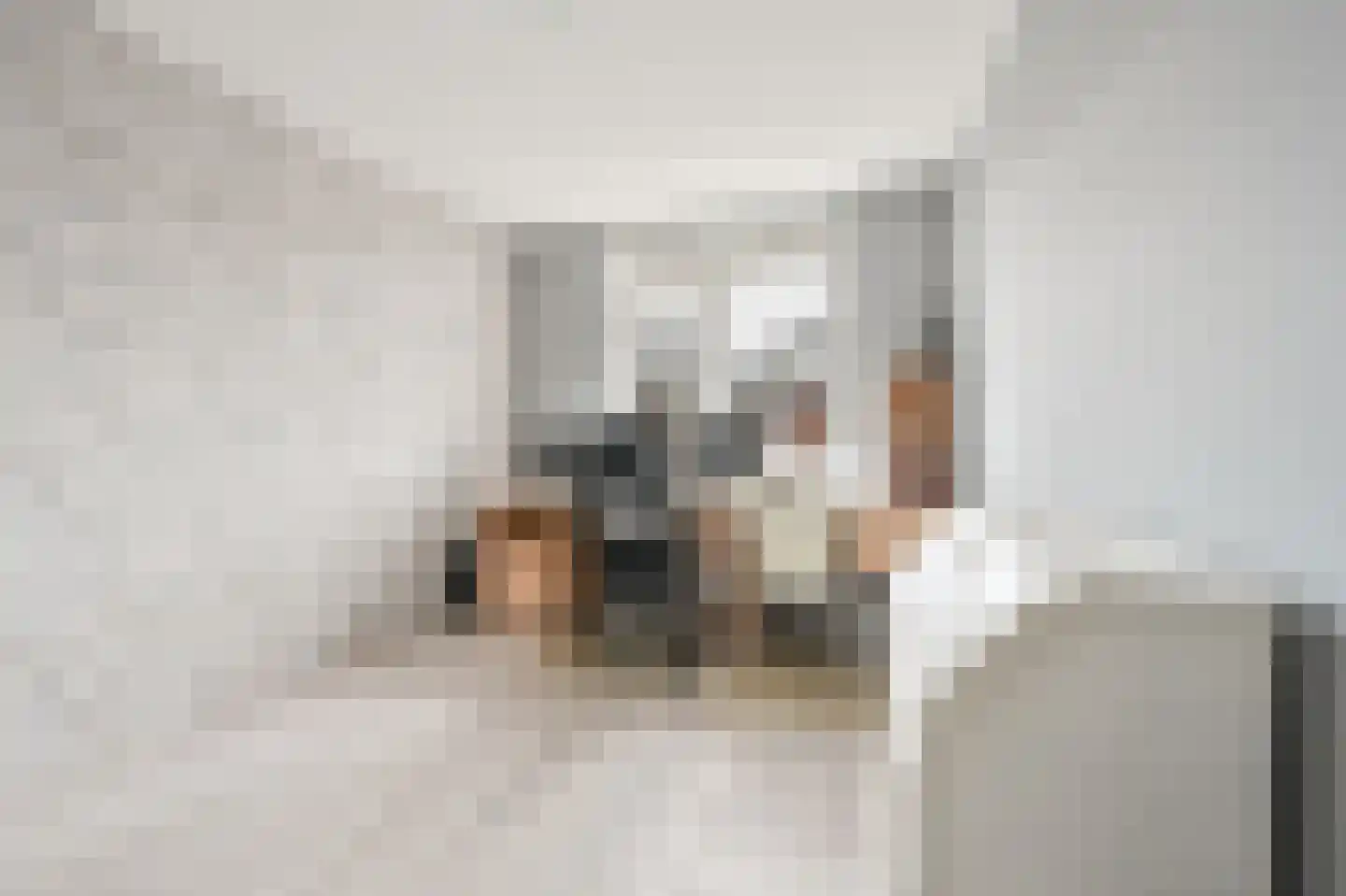 Joris van Bodegomlaan 18 Spijkenisse thumbnail 26