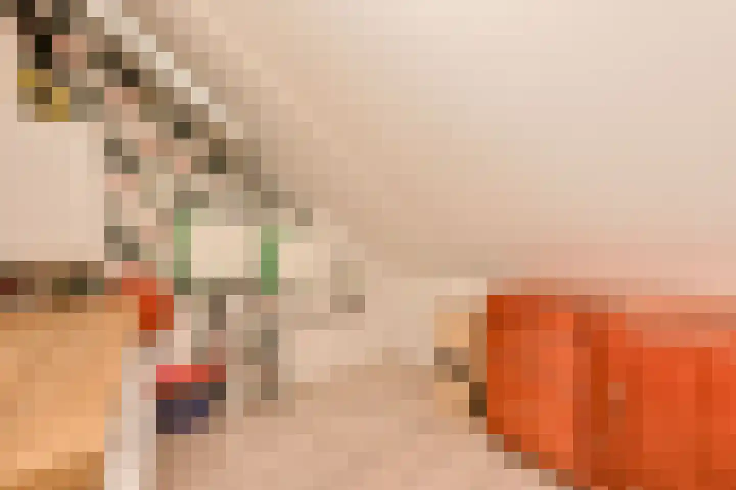 Joris van Bodegomlaan 18 Spijkenisse thumbnail 28